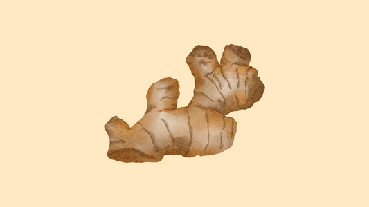 Gingembre et perte de poids : guide complet