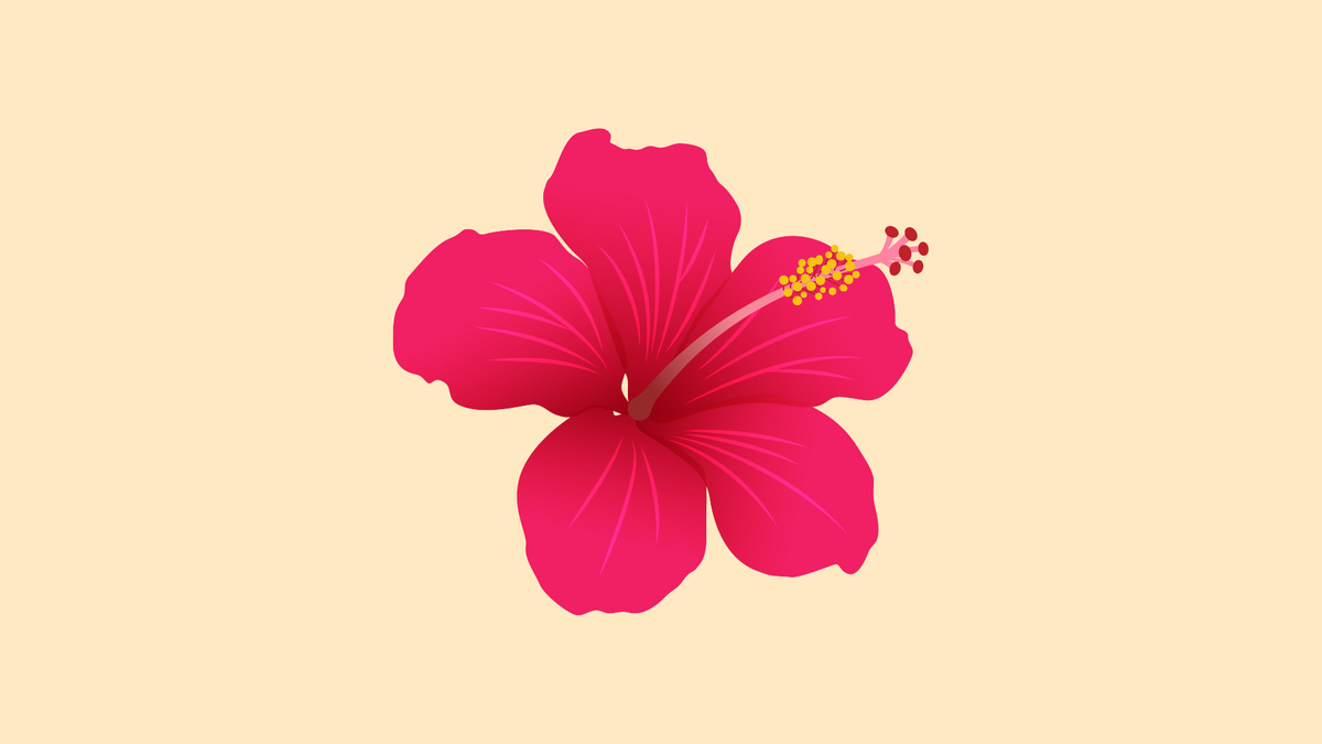 Hibiscus : l’infusion anti-rétention d’eau pour un ventre plat