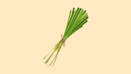 Citronnelle : purifier le foie et faciliter la perte de poids