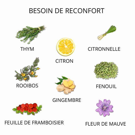 Tisane Règles douloureuses "Besoin de réconfort" -Tisane Miraculeuse