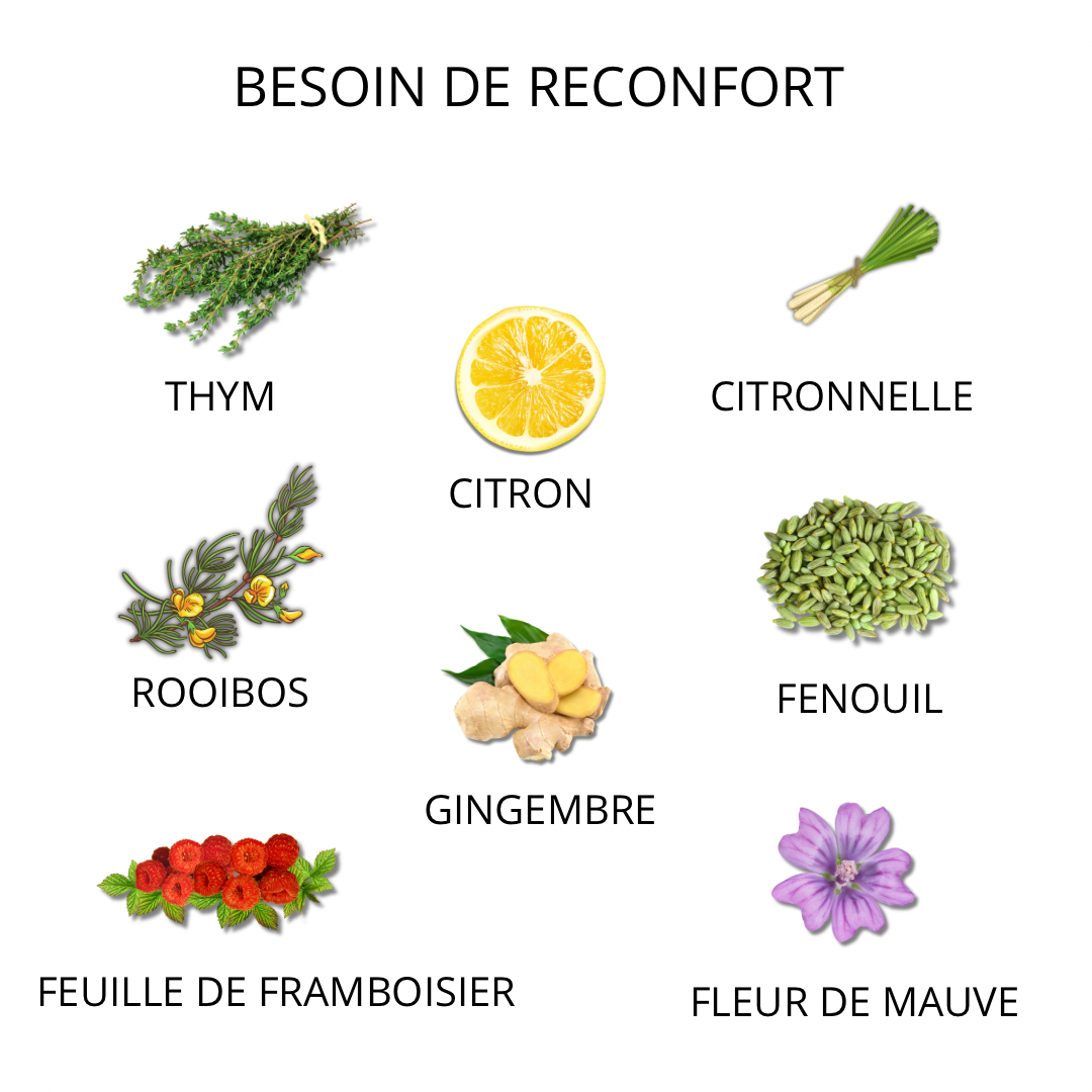 Tisane Règles douloureuses "Besoin de réconfort" -Tisane Miraculeuse